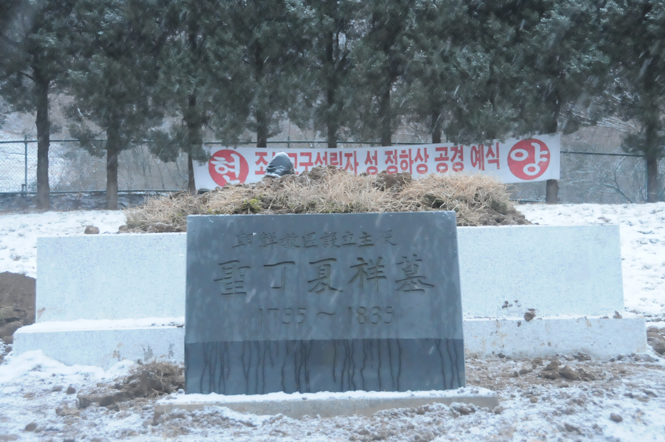 본문이미지